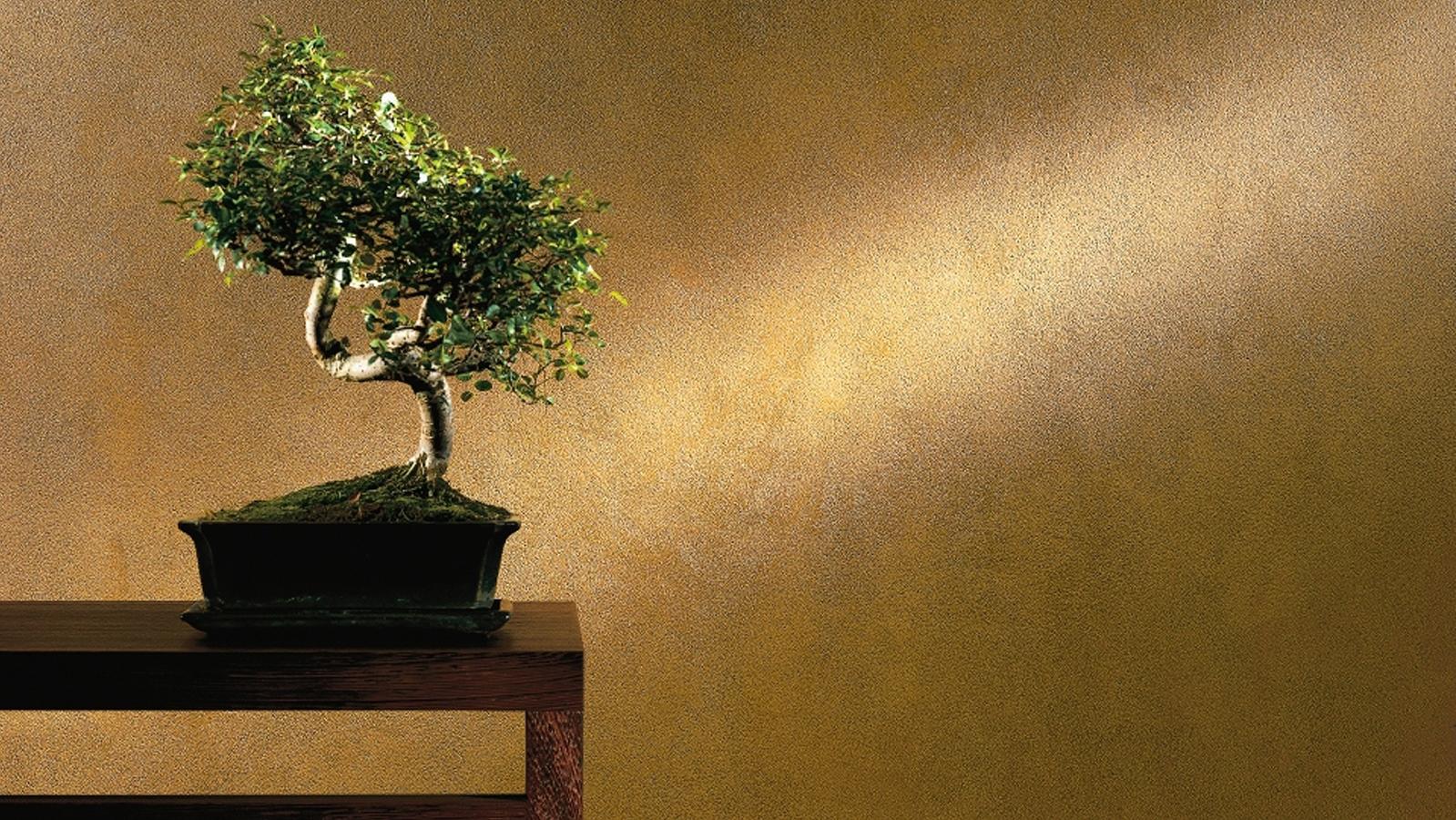 Putz Sto Look Metallic Braun