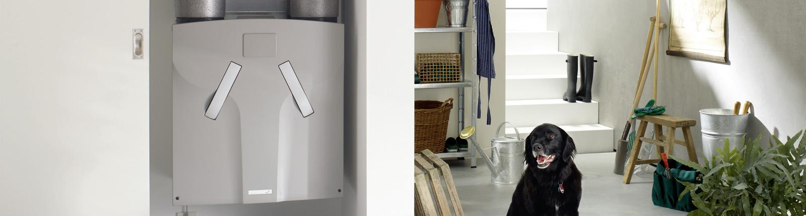 Zehnder Comfobox