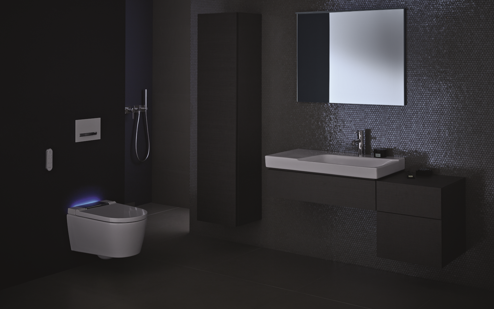 Geberit Aqua Clean Sela